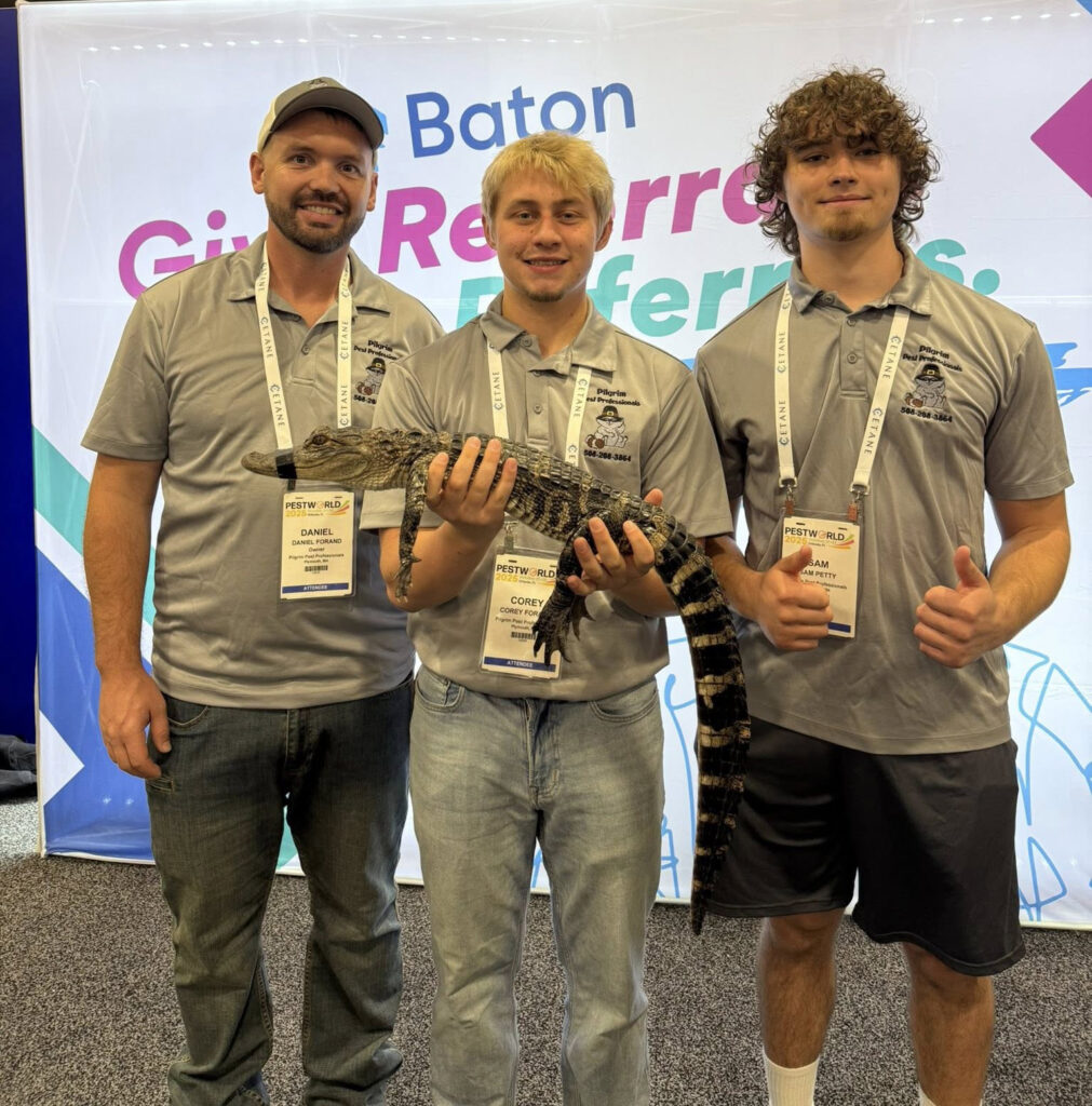 Featured image for Auto-prepared featured image