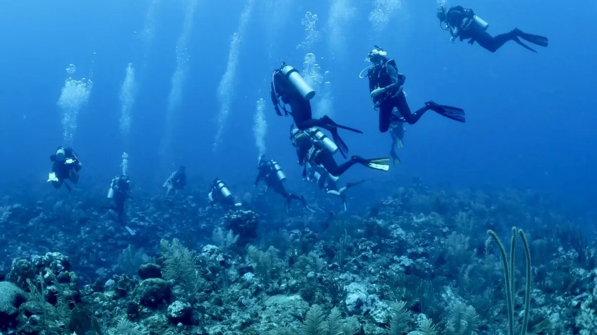 Scuba Schools of America’s Instructor-Built Dive Gear Packages